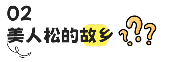 20个小镇之一就在吉林！尊龙凯时中国世界上必去的(图10)